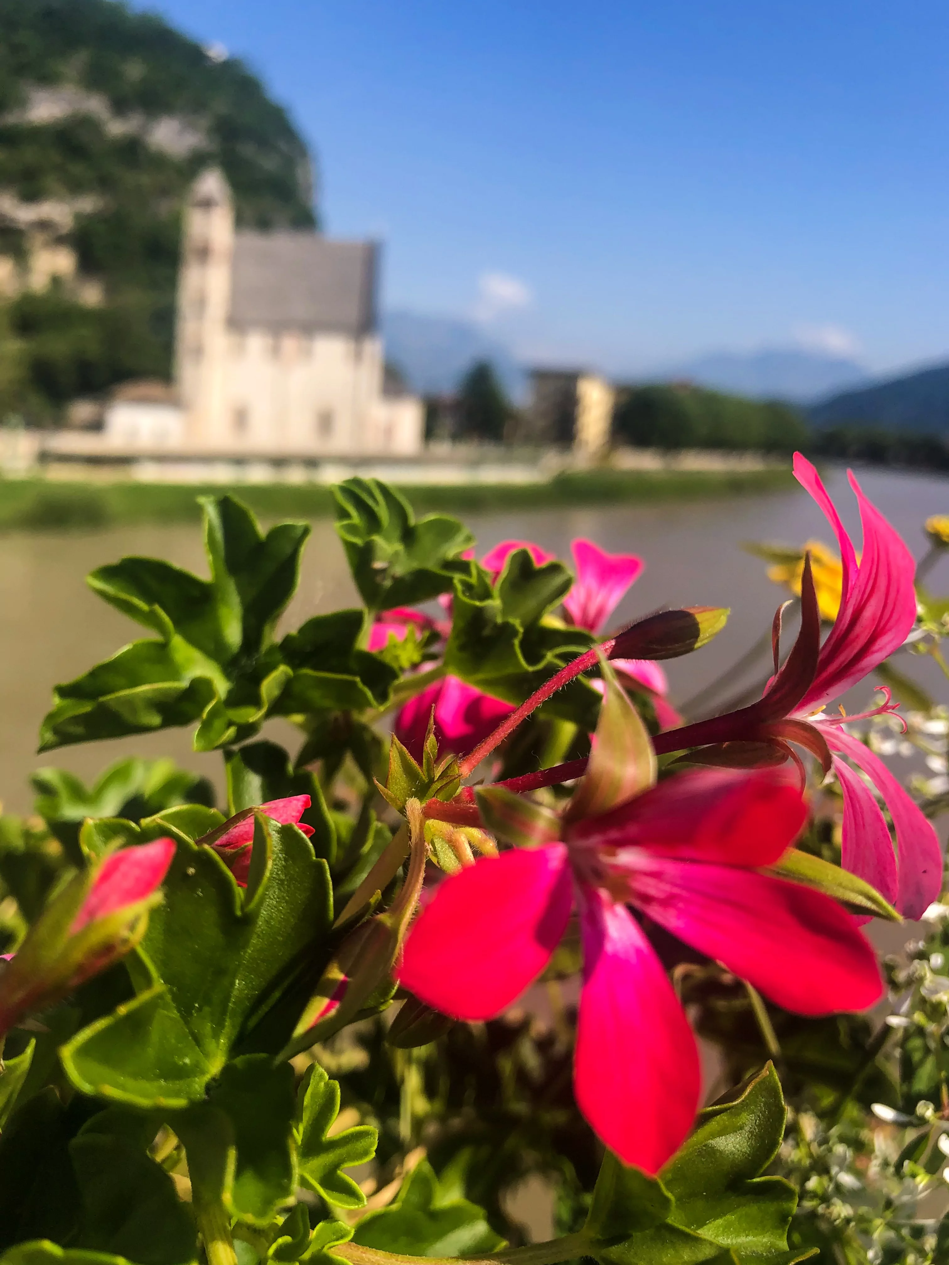 Trento