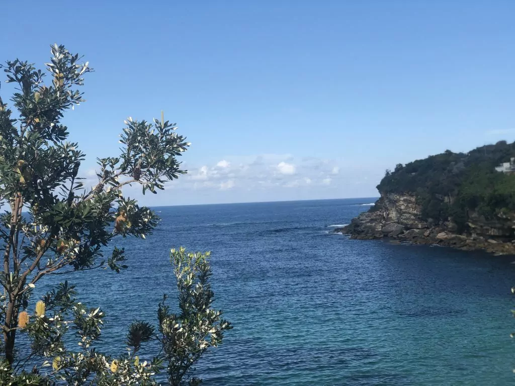 Coogee to Bondi Walk