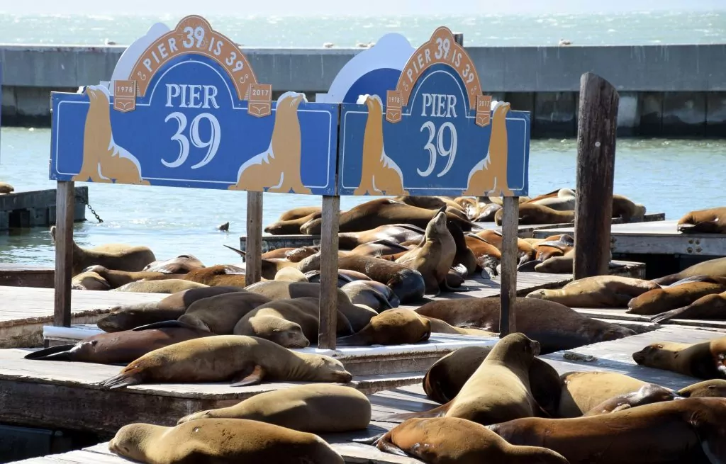 pier 39 Fishermans wharf San Francisco