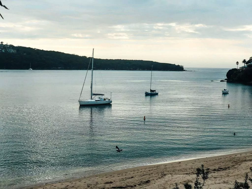 Balmoral to chinamans beach coastal walk