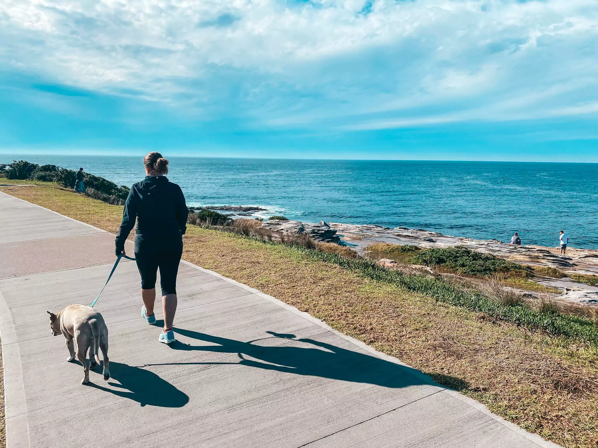 bondi to maroubra coastal walk