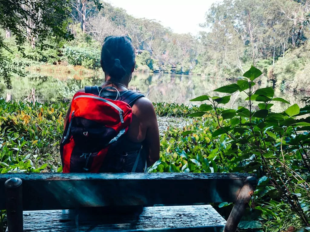 Lane cove national park hiking trail