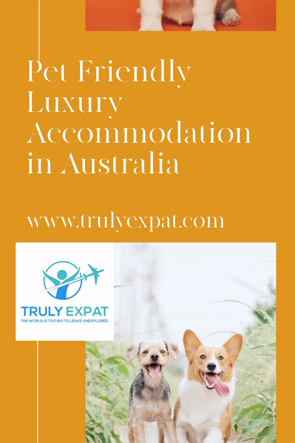 Pet-friendly luxury accomodation Australia