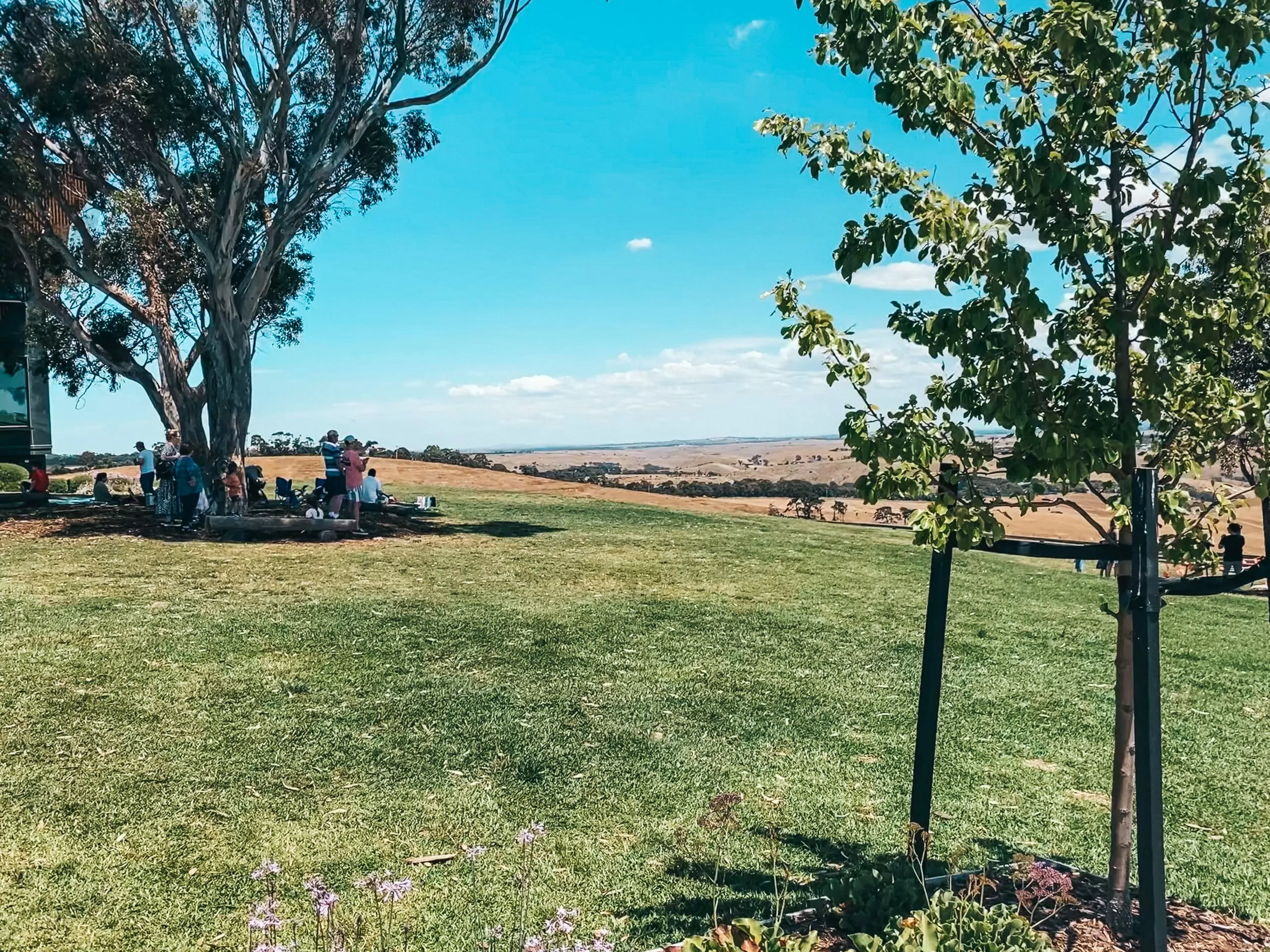Marnong estate near tullamarine