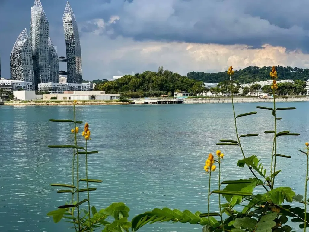 View from sentosa