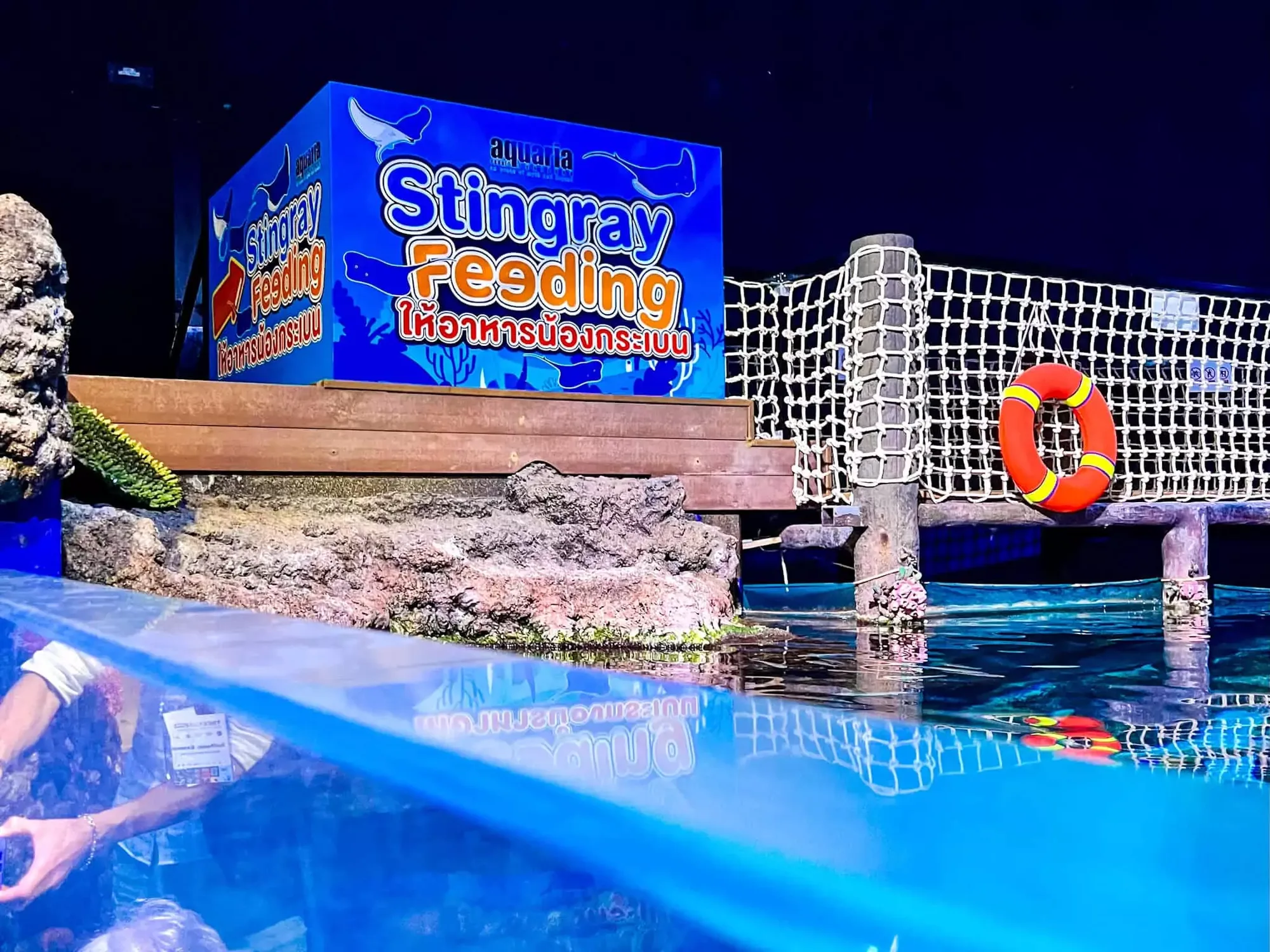 Aquaria Phuket rainy day phuket (1)