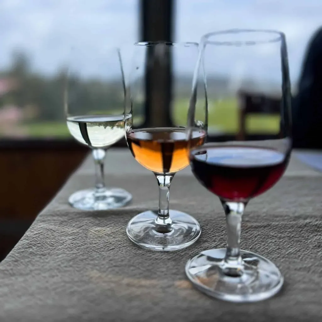 Wine tasting at Swinging Doors Vineyard