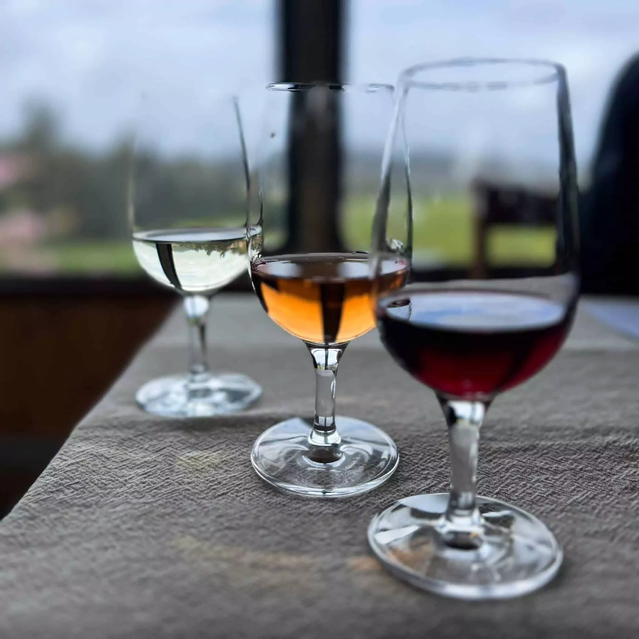 Wine tasting at Swinging Doors Vineyard