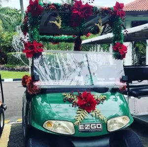 Golf buggy