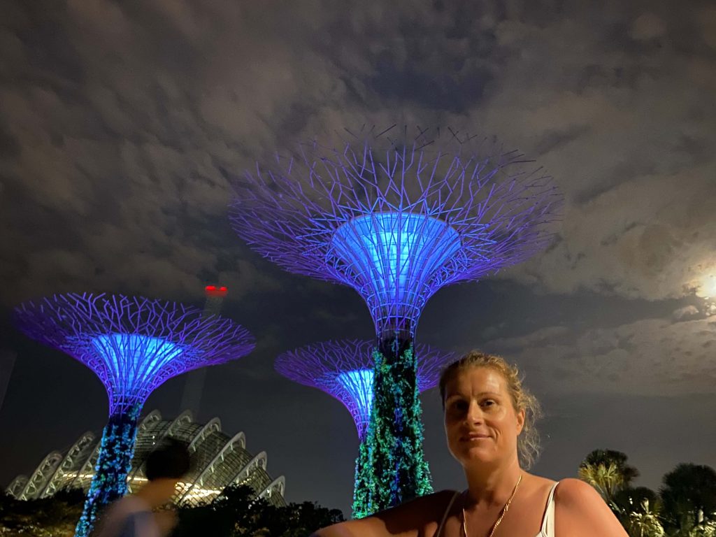 supertrees in singapore