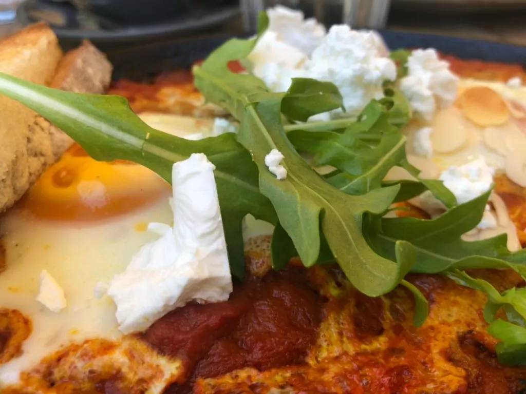 cumberland state forest