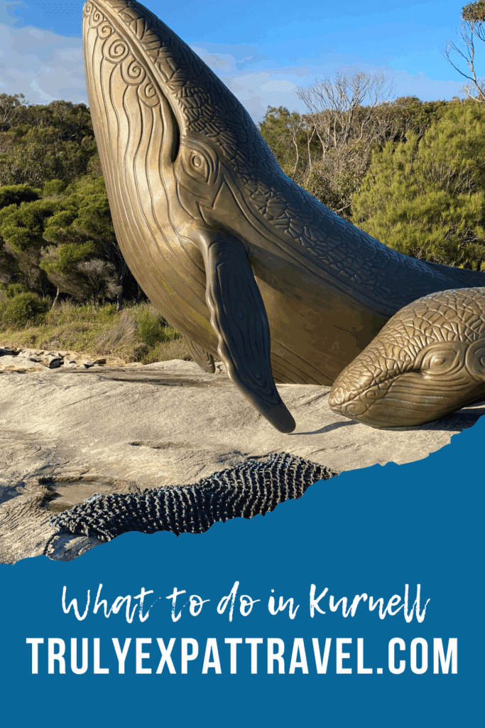 Kurnell attractions, Botany Bay National Park, Cape Solander whale watching, Silver Beach Kurnell, Captain Cook landing place