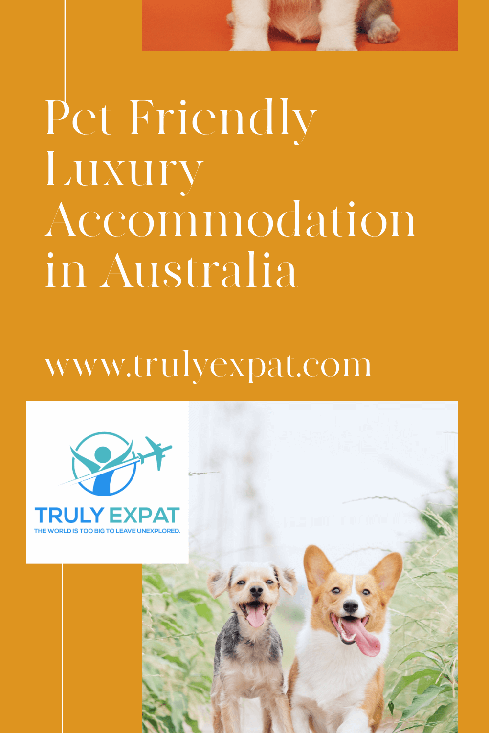 Pet-friendly luxury accomodation Australia