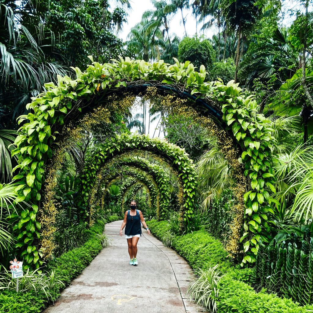 Singapore walks