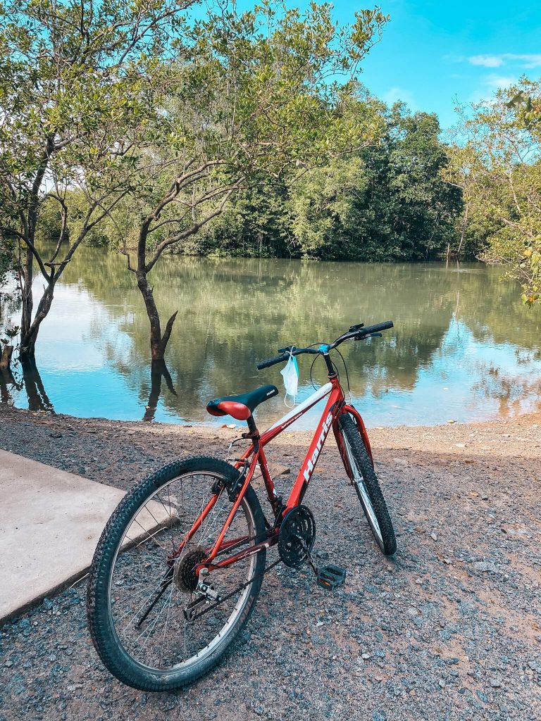 cycling in pulau ubin