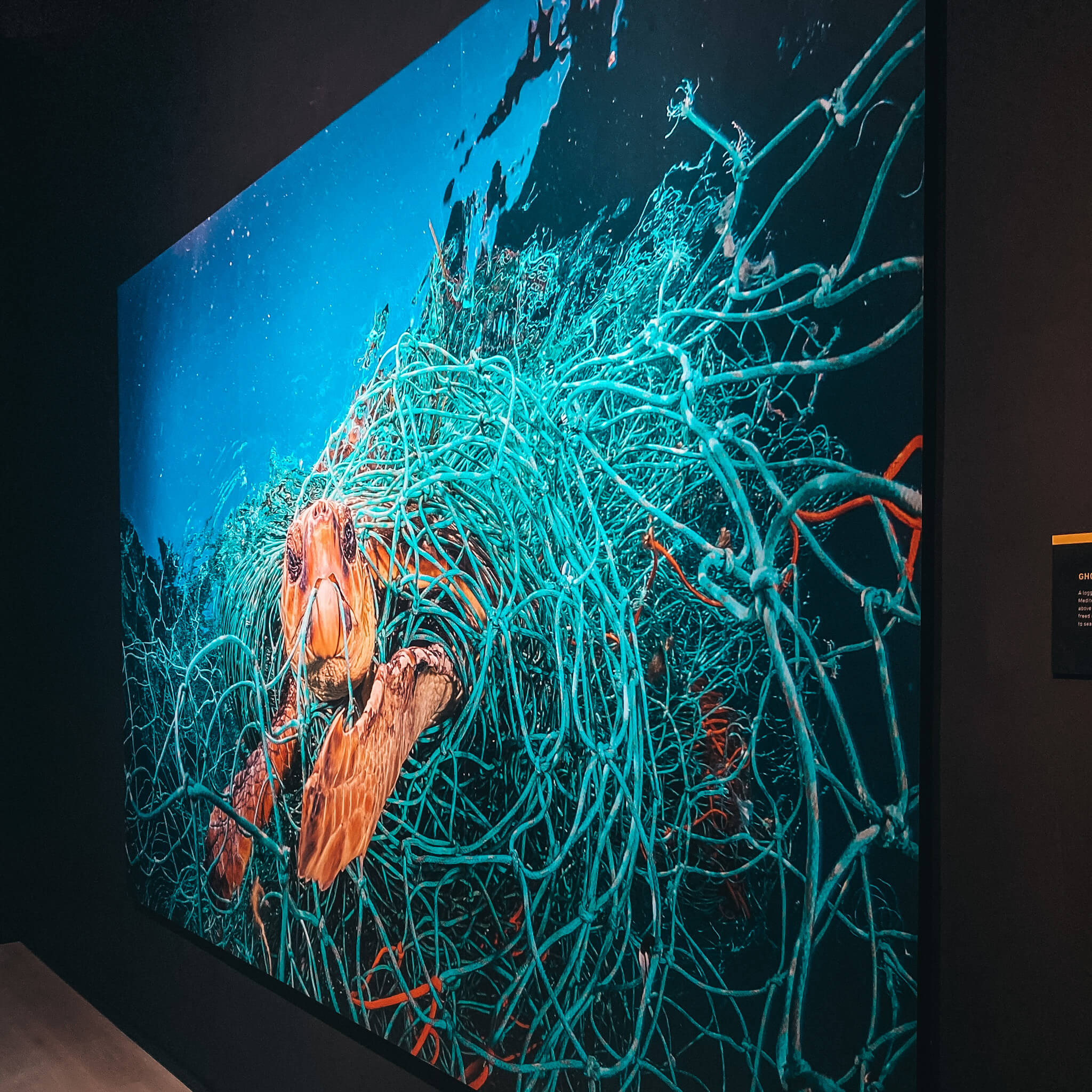 8 Museums in Singapore worth visiting in 2024 Truly Expat Travel