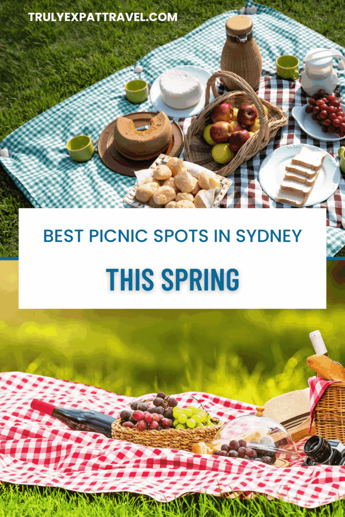 picnics in sydney, sydney picnics, best picnic spots in sydney 