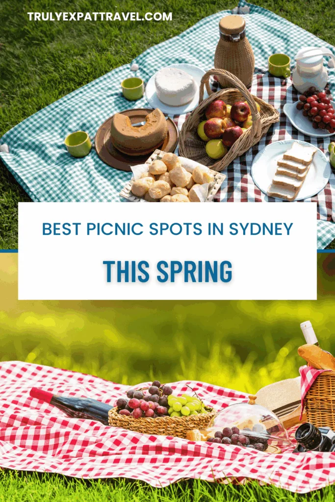 picnics in sydney, sydney picnics, best picnic spots in sydney