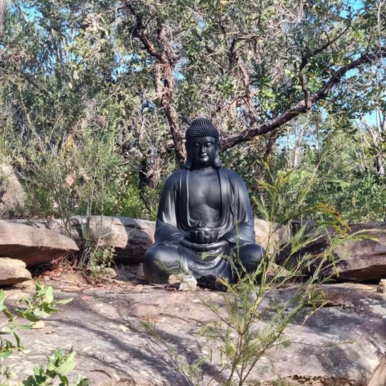 swami's yoga retreat bushwalk