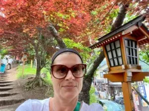 Pagodas in Tokyo
