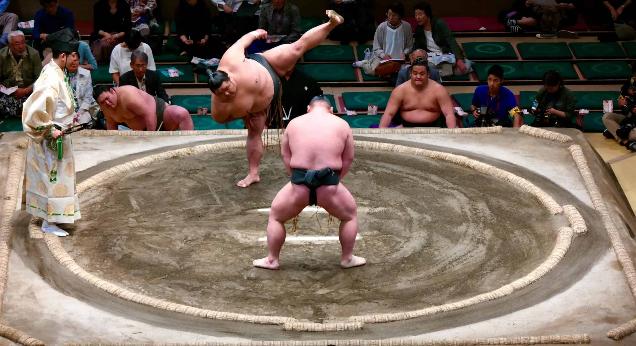 sumo Wrestler Tokyo