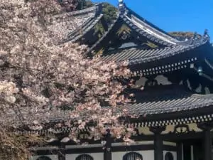 hasa dera temple kamakura