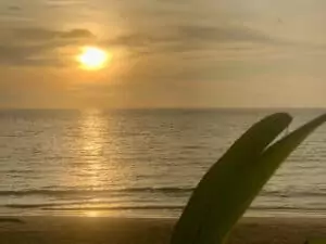 Best things to do in Phuket at night