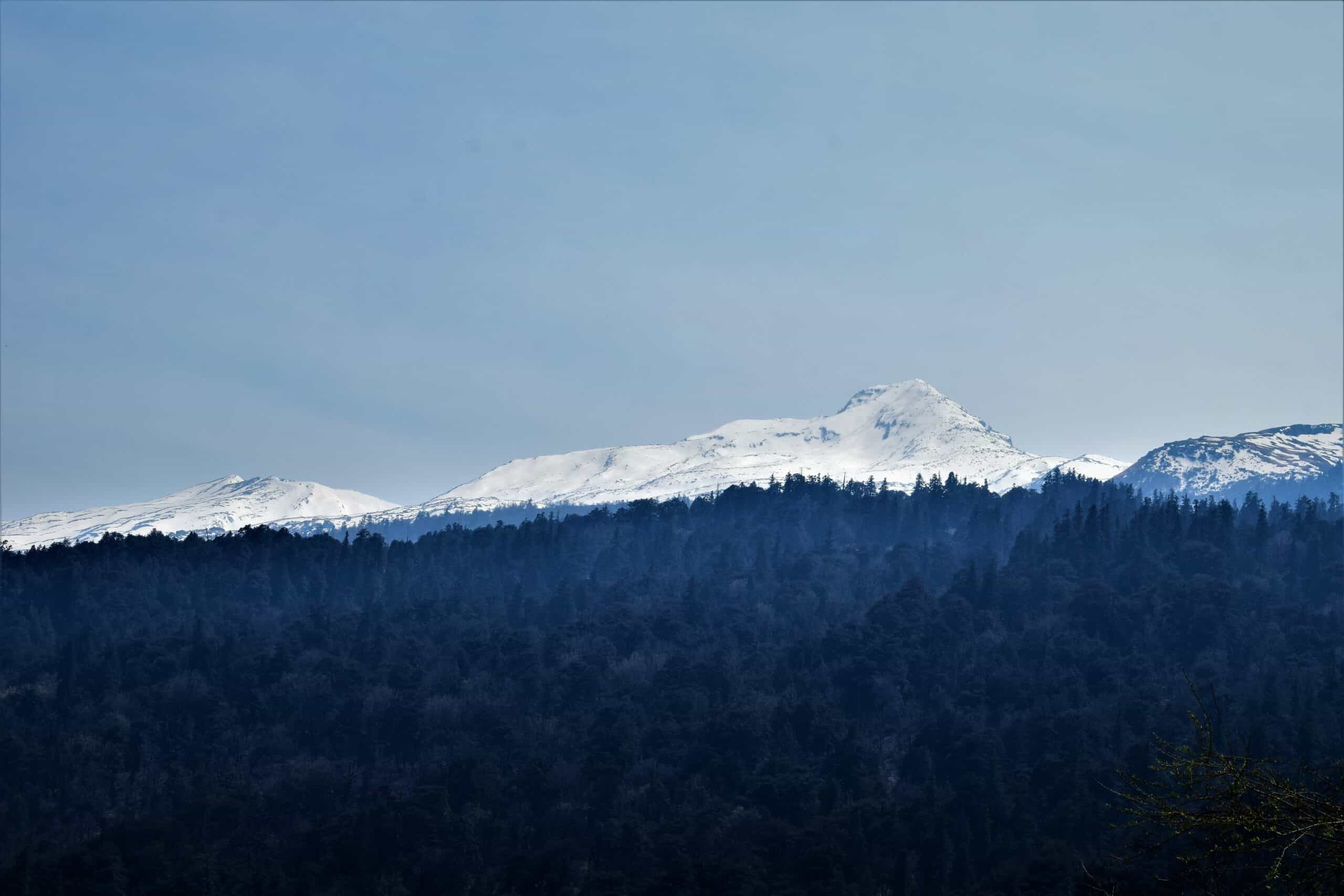 View of Pangarchulla Peak