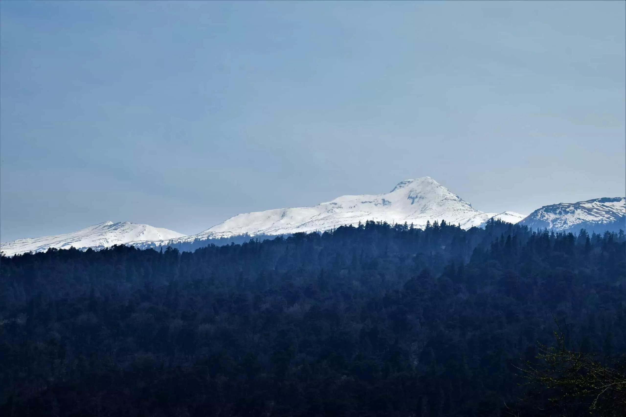 View of Pangarchulla Peak