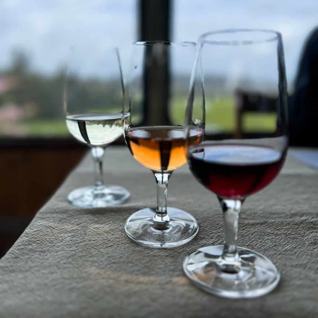 Wine tasting at Swinging Doors Vineyard