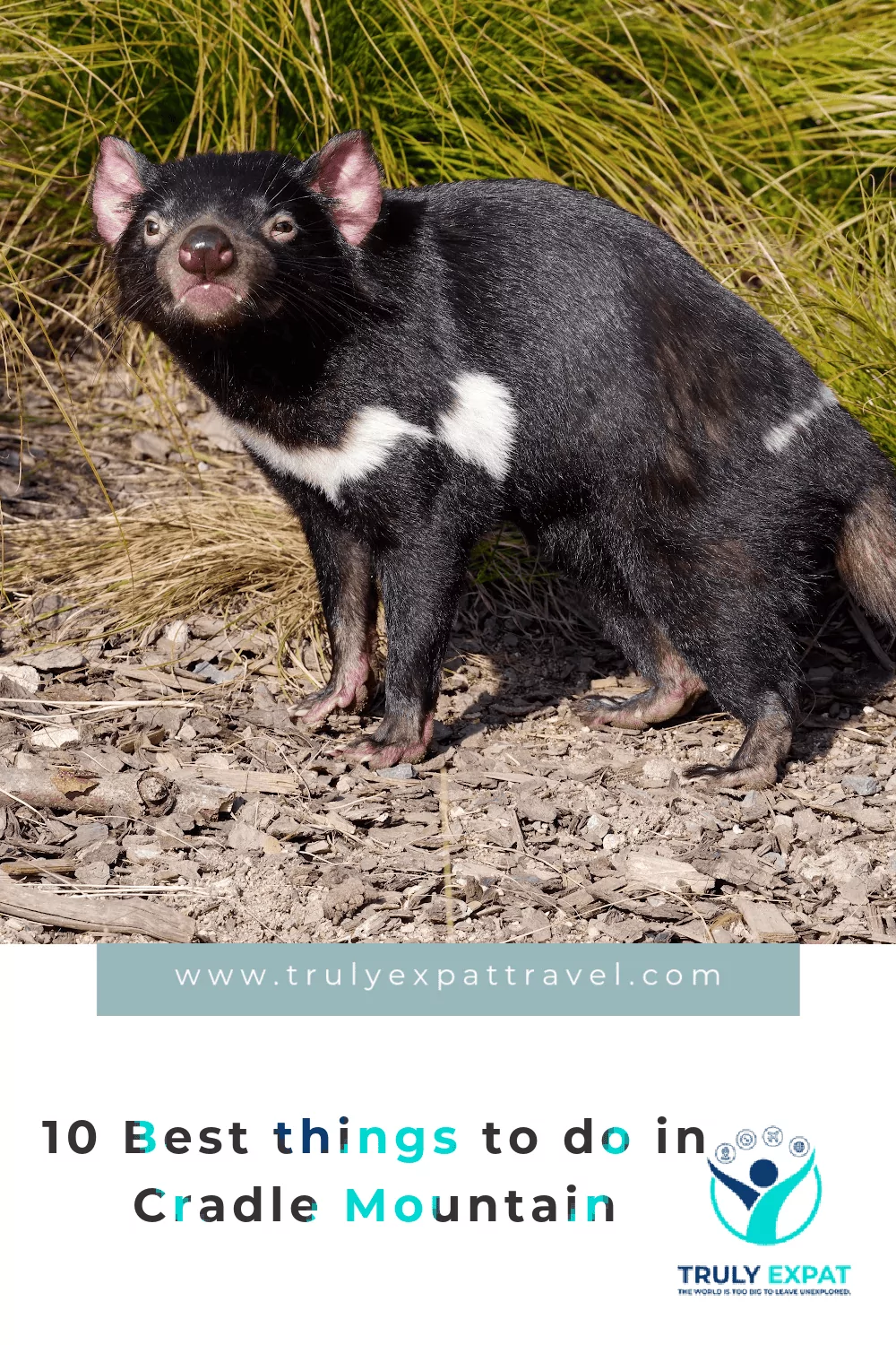 Best things to do in Cradle Mountain