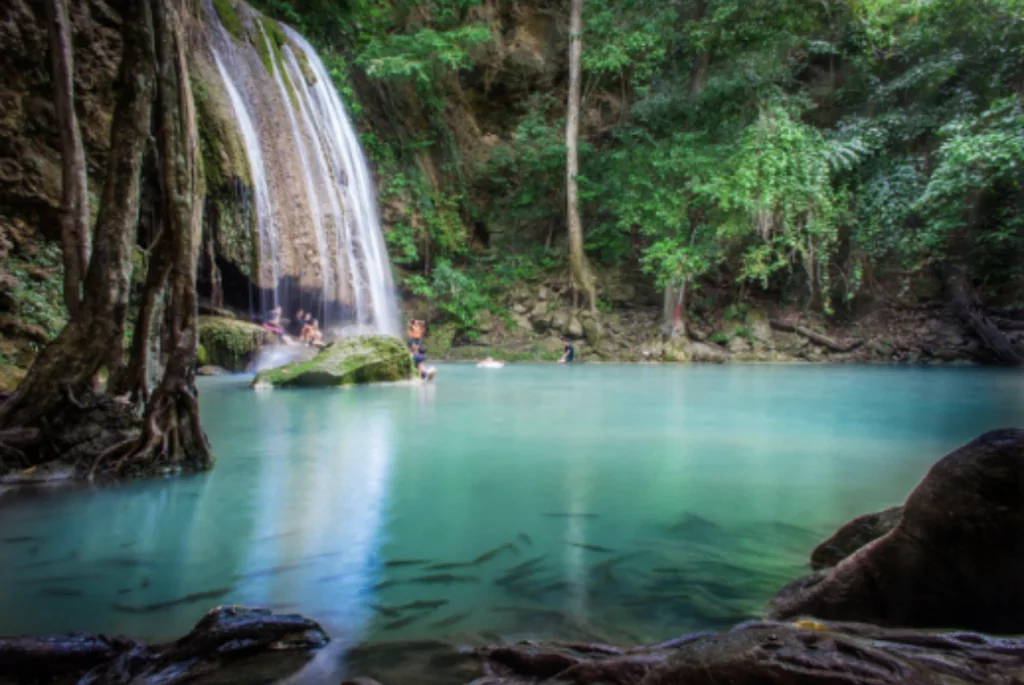 National forest in Thailand