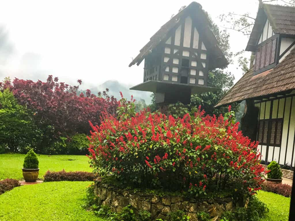 Cameron Highlands