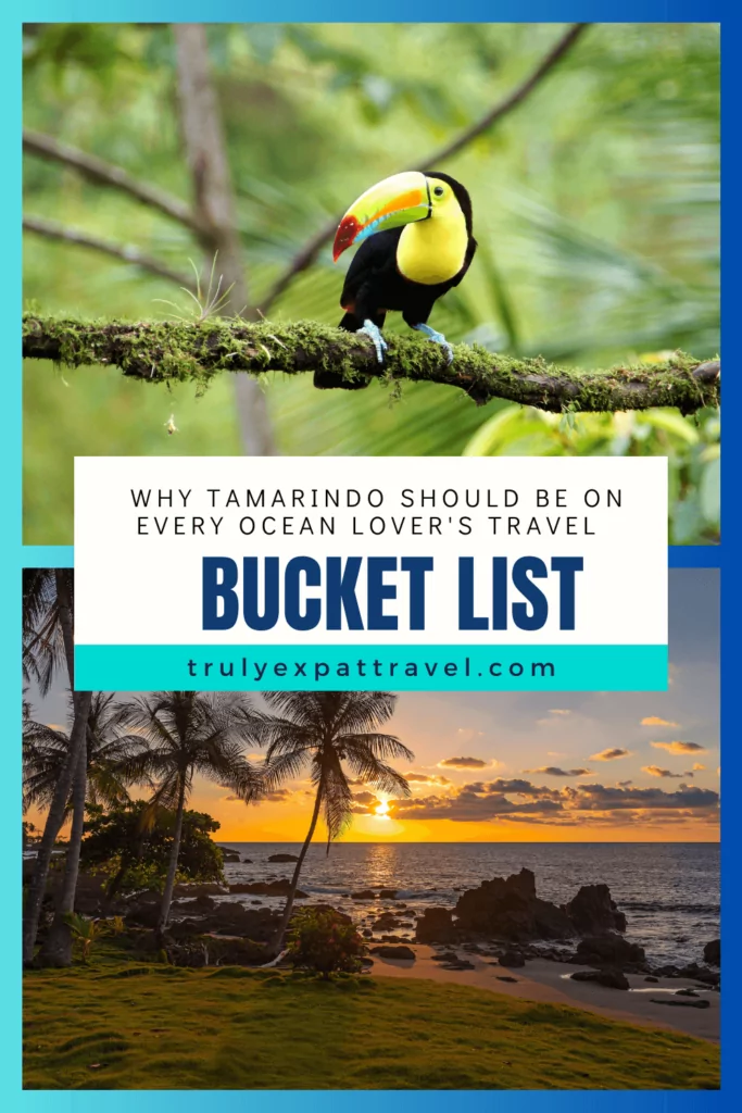 Every Ocean Lover's dream - Tamarindo costa Rica