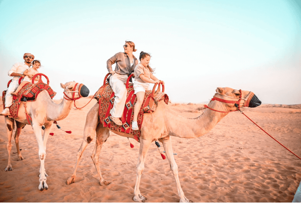 Camel riding desert safari
