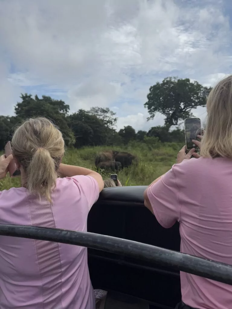 day trips from kandy