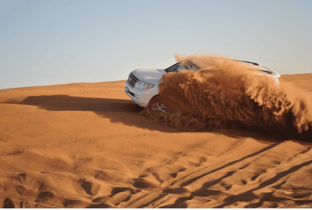 Classic desert safari