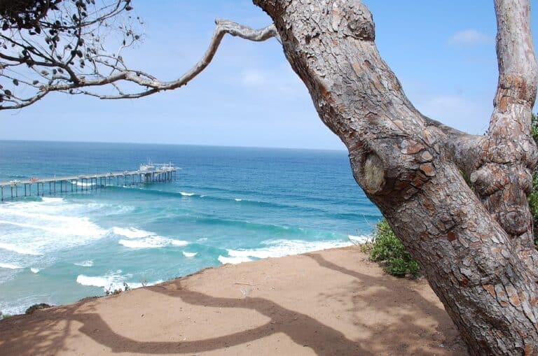 la jolla, nature, san diego, beach, la jolla, la jolla, la jolla, la jolla, la jolla