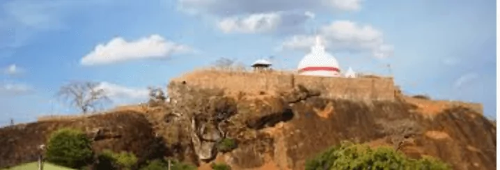 Sithulpawwa Rock Temple