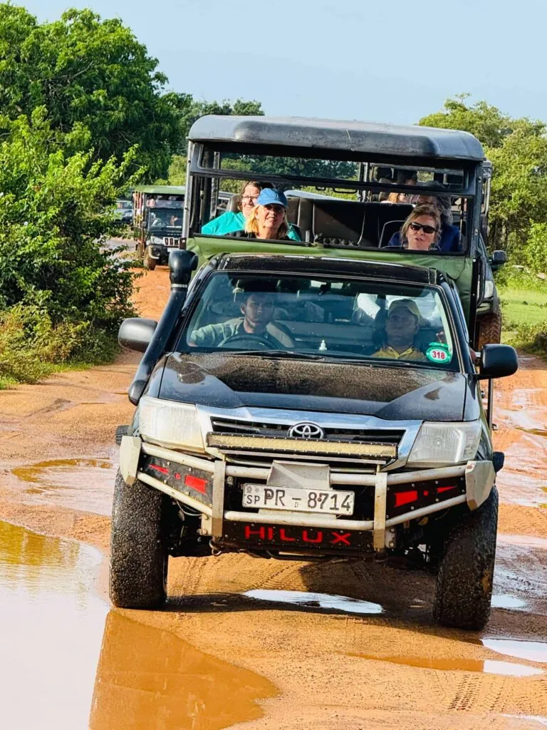 female only tours, sri lanka, tours, women only tours