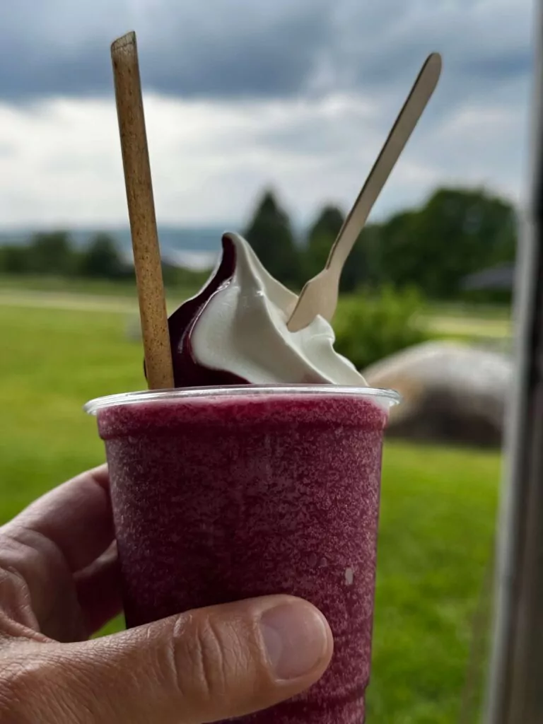 Île d’Orléans, blackberries, organic, quebec