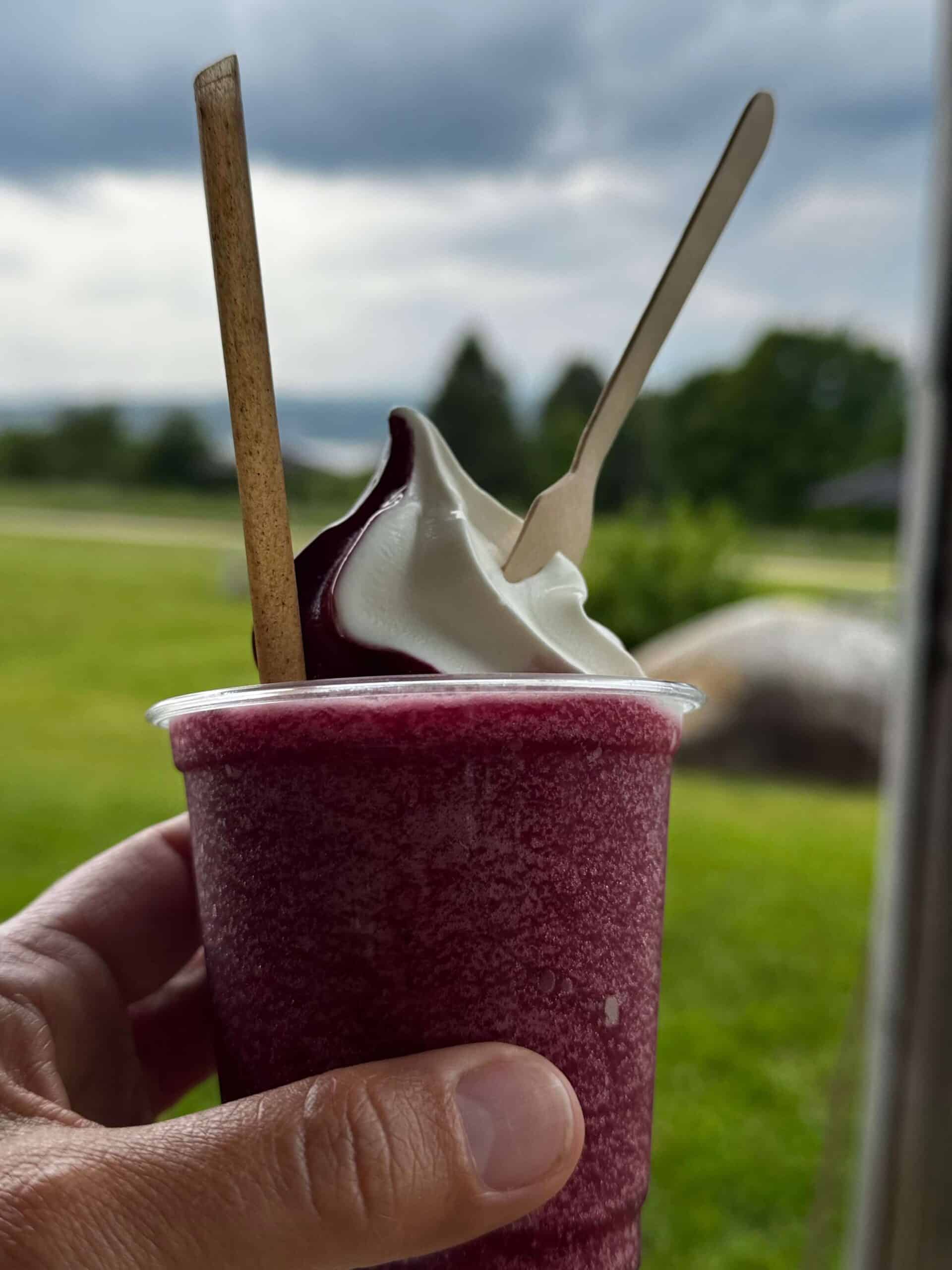 Île d’Orléans, blackberries, organic, quebec