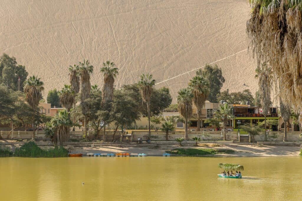 A picturesque oasis with palm trees and a sand dune in the background, offering a serene vacation vibe. helping the environtment 