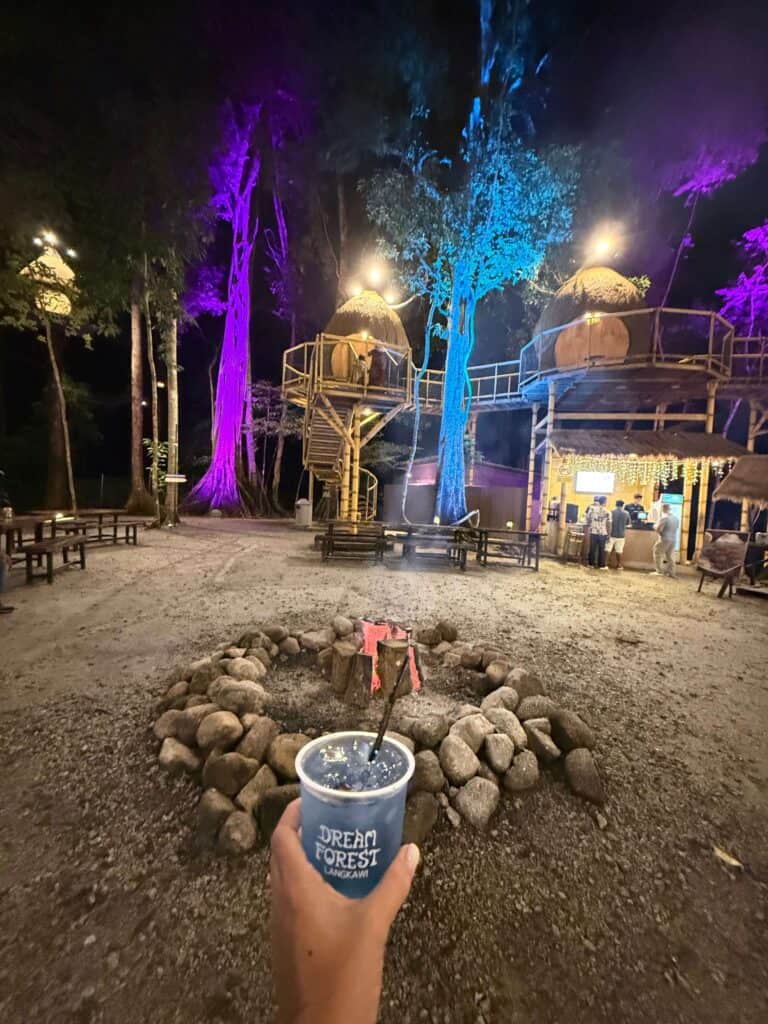 dream forest, dream forest langkawi, smores and campfire, butterfly pea drink