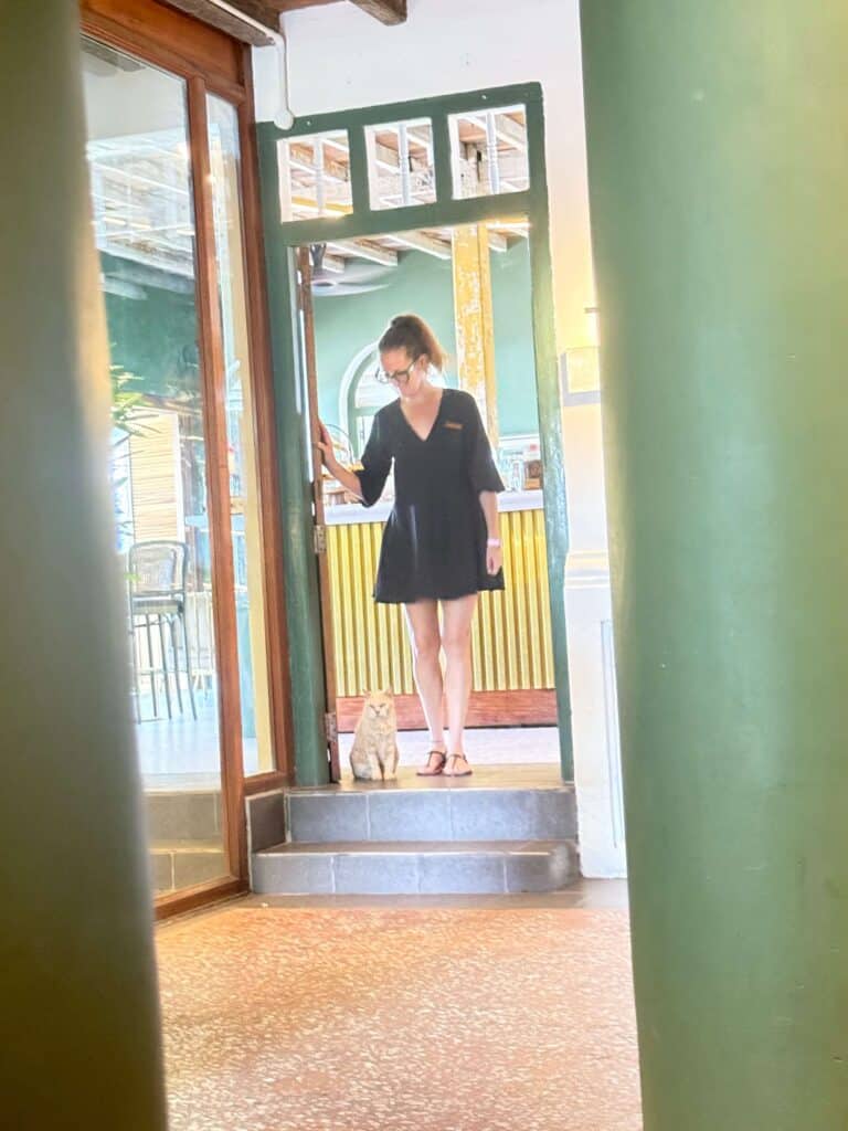 General manager of temple tree resort, resident cat at temple tree resort