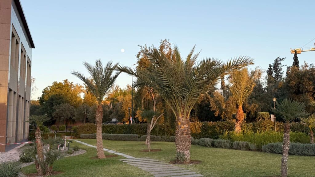 Le Méridien N'Fis, Marrakech, morocco, grounds of Le Méridien N'Fis, palm trees in morroco