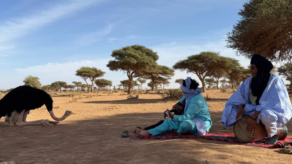 Arawan luxury desert camping, desert picnic, picnic in the shara, local moroccan music, ostrich