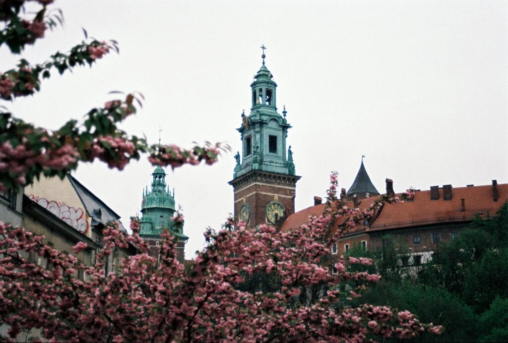 A beautiful view of Wawel Castle with cherry blossoms in Kraków, Poland.