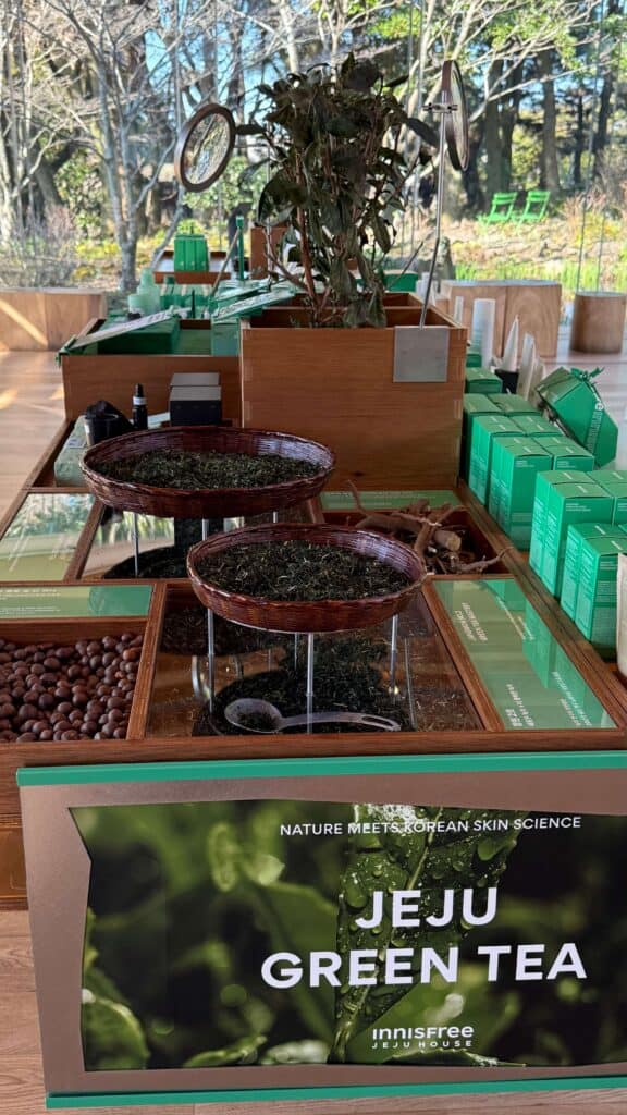 jeju green tea, innisfree jeju house