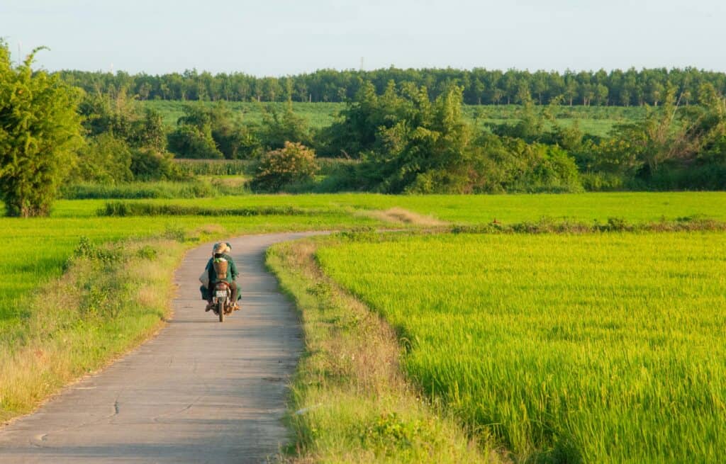 A motorcyclist rides through lush green fields on a narrow rural road.